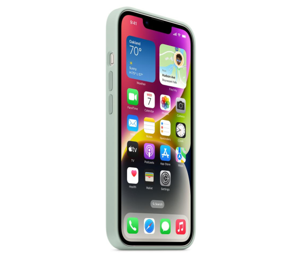 APPLE do iPhone 14 Plus Silicone Case with MagSafe - Succulent - 1071001 - zdjęcie 3